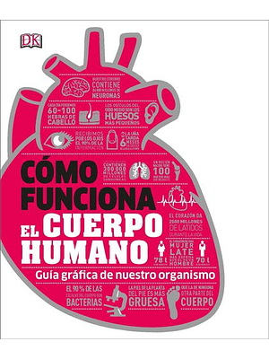 Como Funciona El Cuerpo Humano