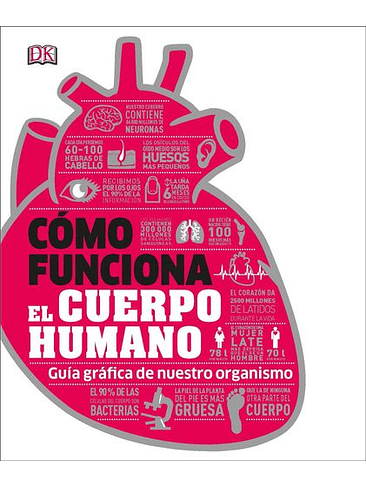 Como Funciona El Cuerpo Humano 1