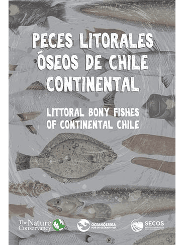 Peces Litorales Oseos De Chile Continental 1