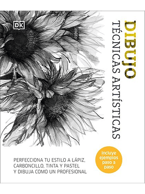 Dibujo Tecnicas Artisticas