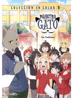 Maestro Gato En Color 1