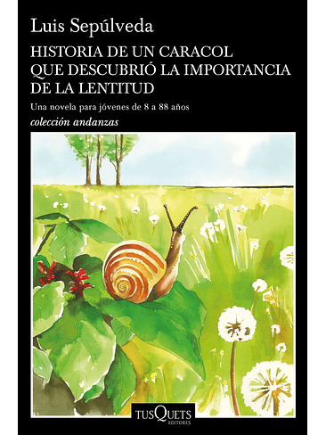 Historia De Un Caracol Que Descubrio La Importancia De La Lentitud 1