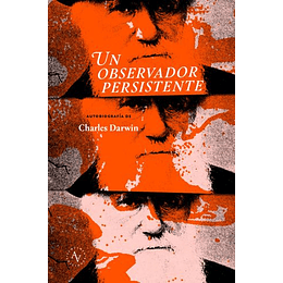 Un Observador Persistente