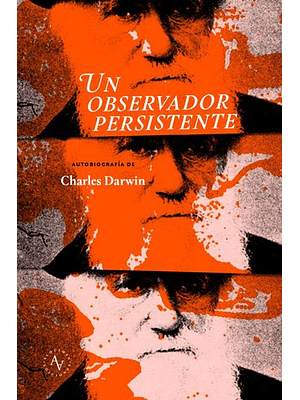 Un Observador Persistente