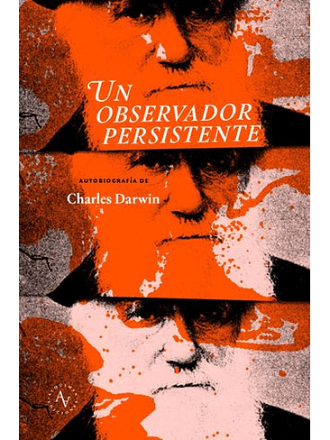 Un Observador Persistente 1