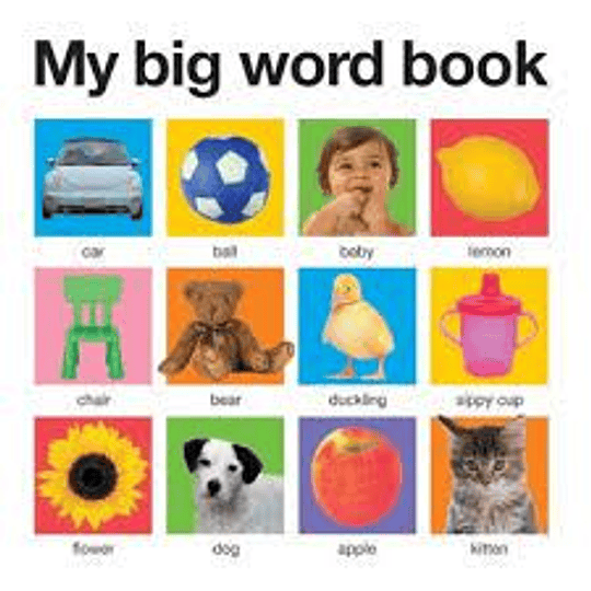 My Big Word Book (Bb)