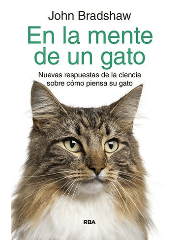 En La Mente De Un Gato 1