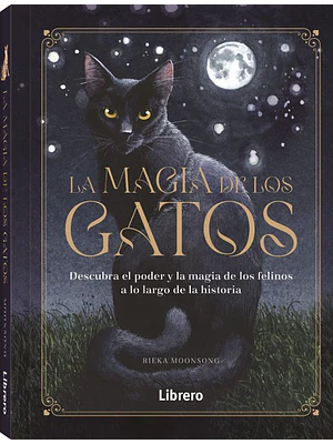 Magia De Los Gatos, La