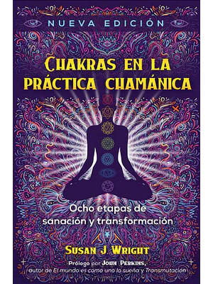 Chakras En La Practica Chamanica