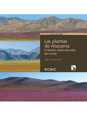 Plantas De Atacama, Las 1