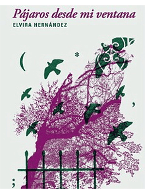 Pajaros Desde Mi Ventana