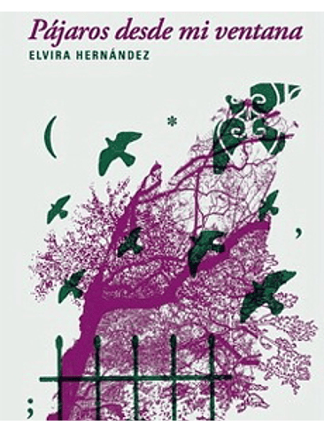 Pajaros Desde Mi Ventana 1