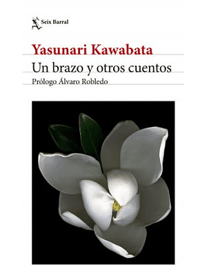 Brazo Y Otros Cuentos, Un