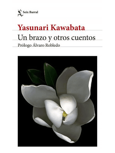 Brazo Y Otros Cuentos, Un 1