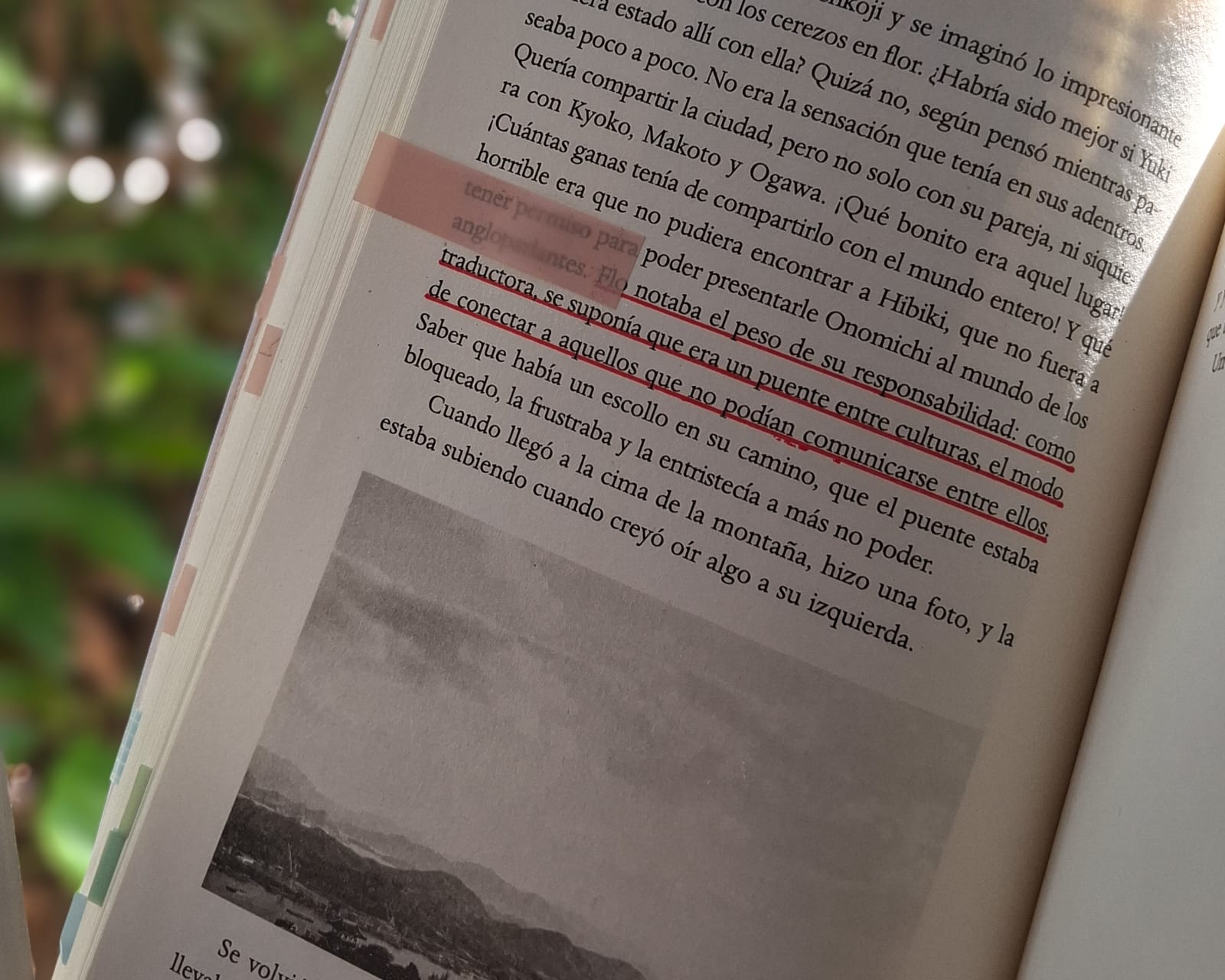 El traductor, un agente cultural