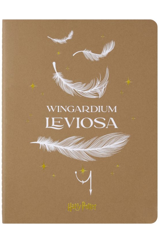 Limited Cahier Harry Potter Tb Xl De Rayas 1