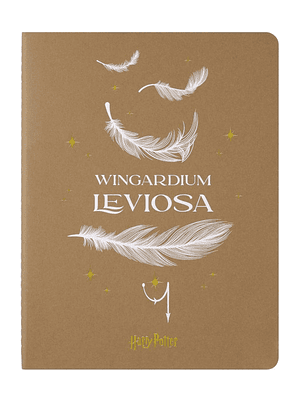 Limited Cahier Harry Potter Tb Xl De Rayas