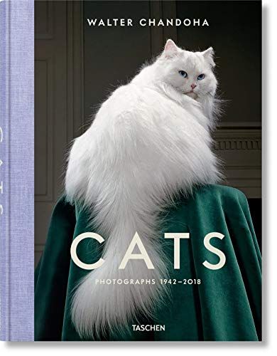 Cats Photographs 1942 2018 1