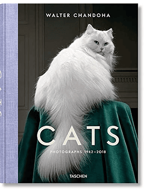 Cats Photographs 1942 2018