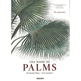 The Book Of Palms