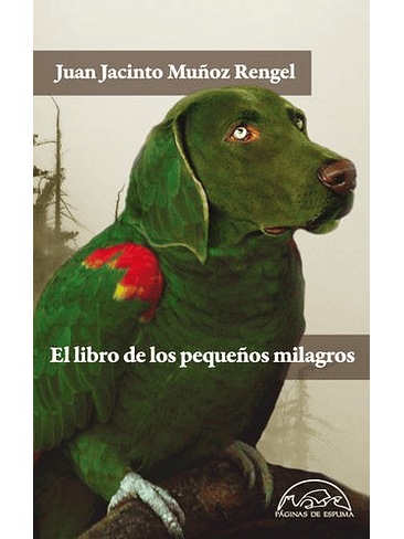 Libro De Los Pequeños Milagros, El 1