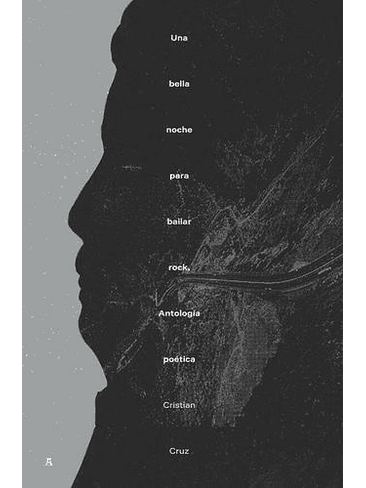 Una Bella Noche Para Bailar Rock  1