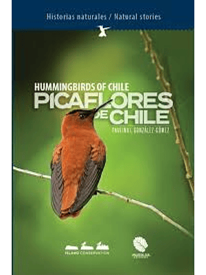 Picaflores De Chile
