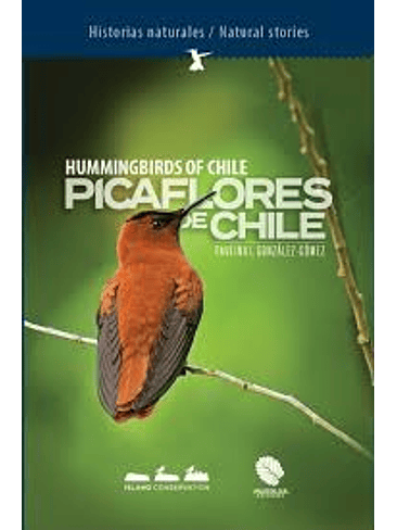 Picaflores De Chile 1