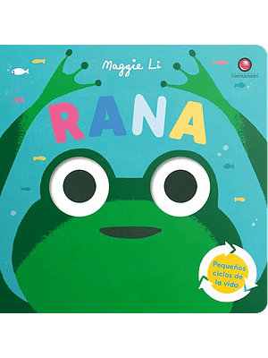 Rana Pequeños Ciclos De La Vida