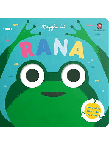 Rana Pequeños Ciclos De La Vida 1