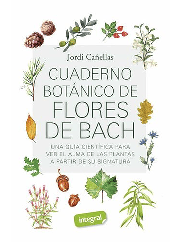 Cuaderno Botanico De Flores De Bach  1