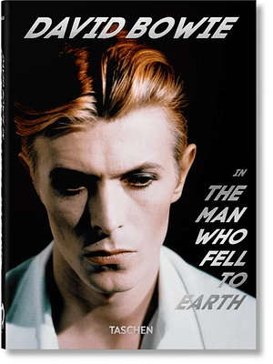 David Bowie The Man Who Fell To Earth 