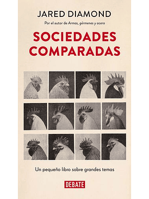 Sociedades Comparadas