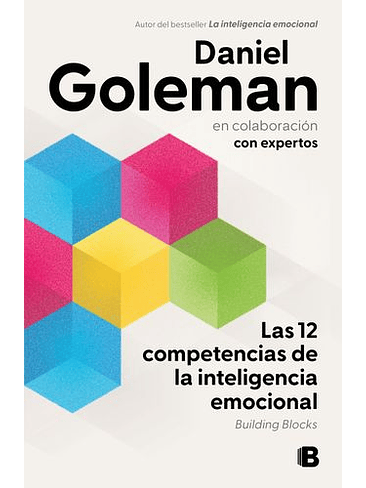 12 Competencias De La Inteligencia Emocional, Las 1