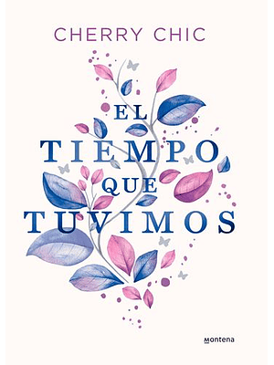 Tiempo Que Tuvimos, El