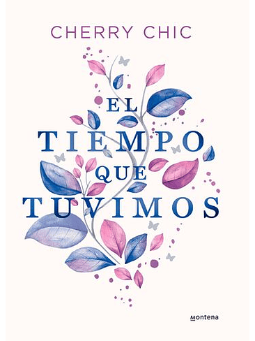 Tiempo Que Tuvimos, El 1