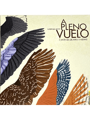 A Pleno Vuelo 