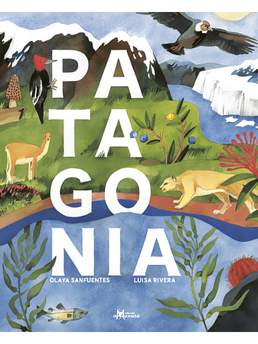 Patagonia 1