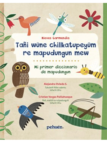 Mi Primer Diccionario De Mapudungun 1