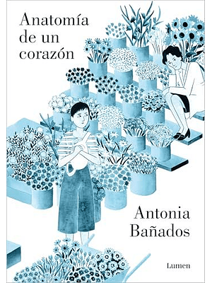 Anatomia De Un Corazon