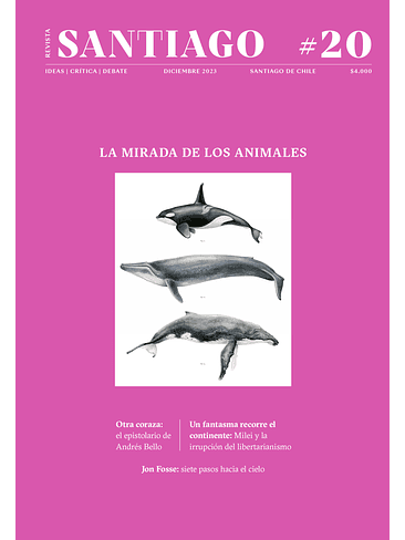 Revista Santiago 20 1