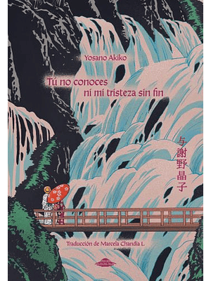 Tu No Conoces Ni Mi Tristeza Sin Fin