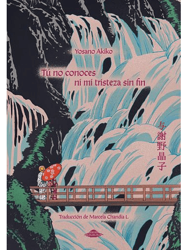 Tu No Conoces Ni Mi Tristeza Sin Fin 1