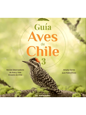 Guia Aves De Chile 3