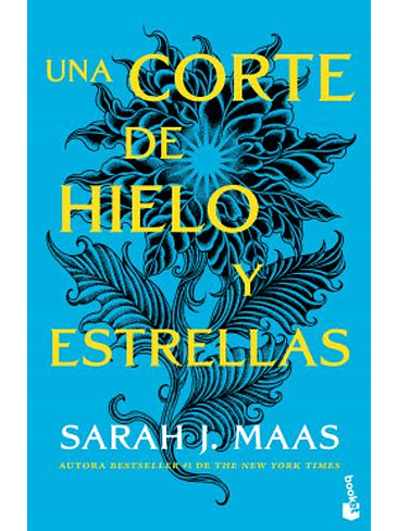 Una Corte De Rosas Y Espinas 4 Una Corte De Hielo Y Estrellas 1