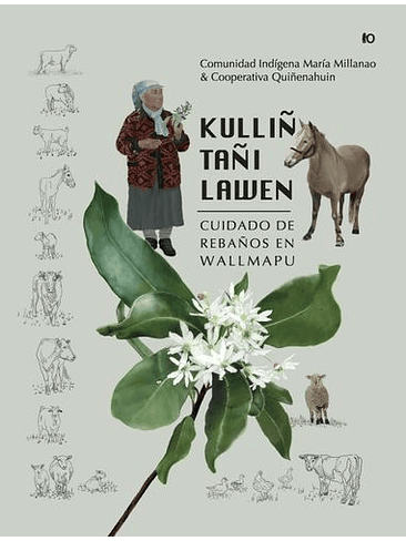 Kulliñ Tañi Lawen Cuidado De Rebaños En Wallmapu 1