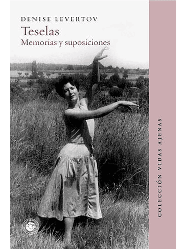 Teselas Memorias Y Suposiciones 1