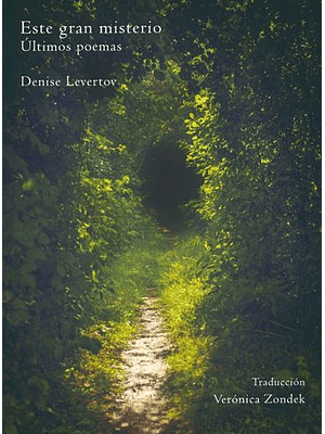 Este Gran Misterio Ultimos Poemas