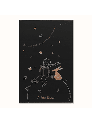 Limited Notebook El Principito Td Large De Rayas Con Caja