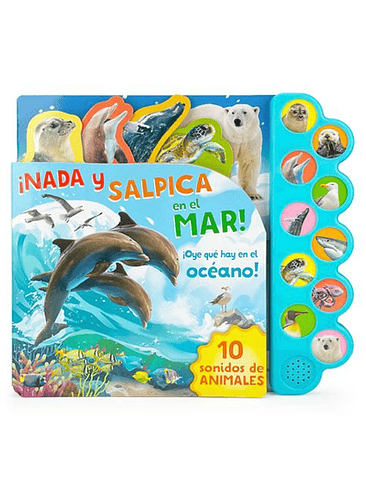 Nada Y Salpica En El Mar 10 Sonidos De Animales 1